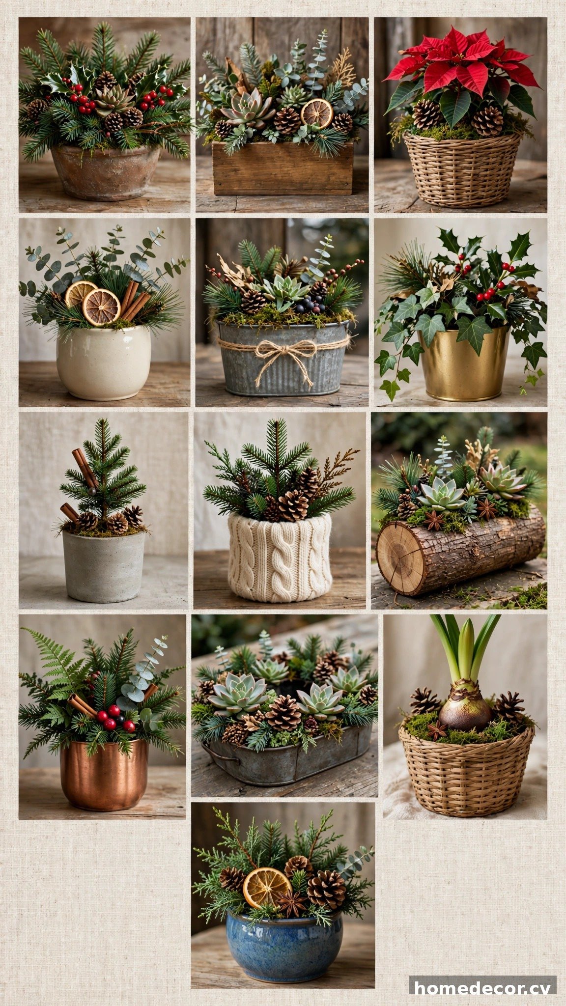 Pinterest pin: 13 Christmas Planter Ideas